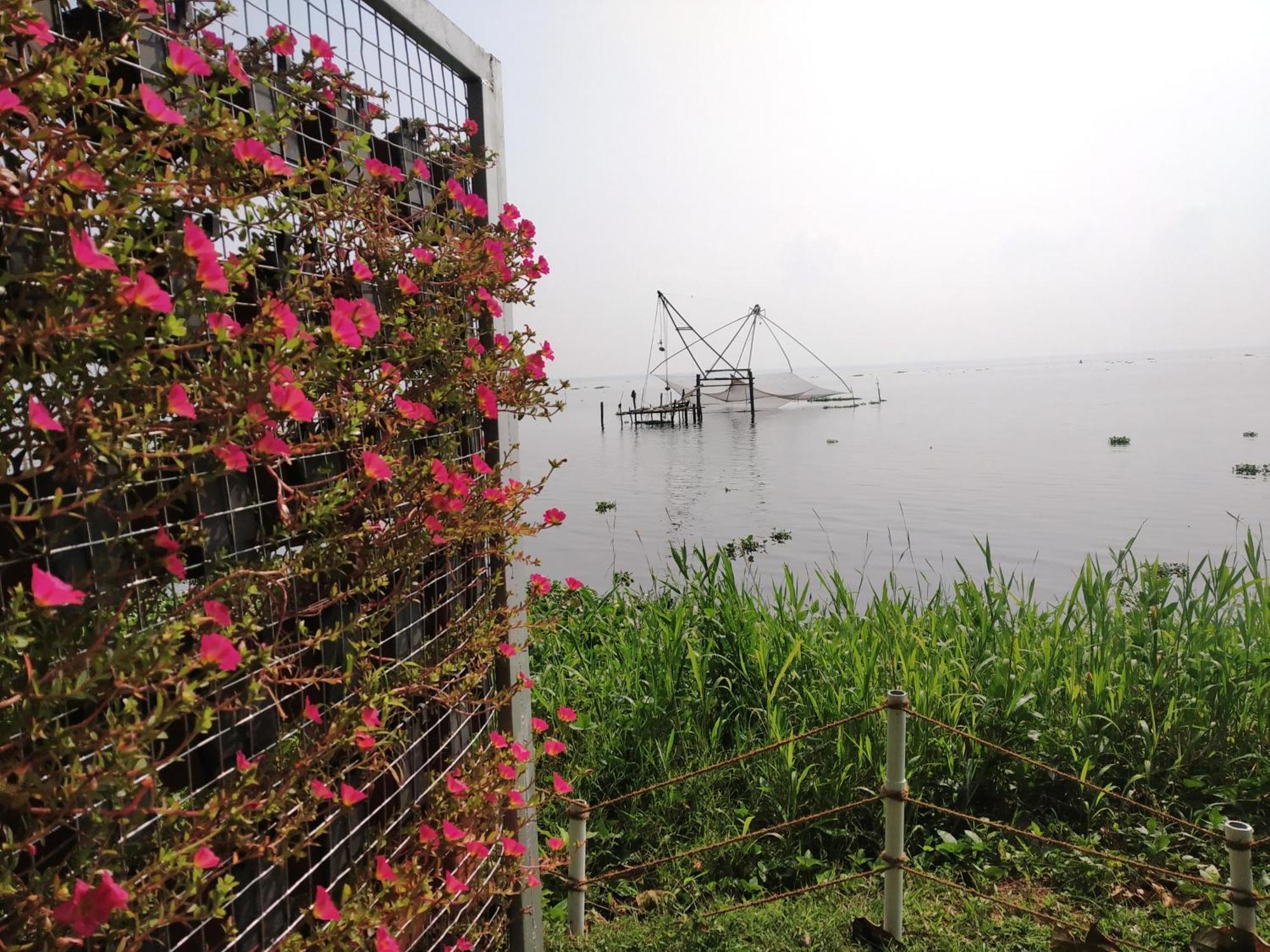 Deshadan Backwater Resort - The Best Sunrise View Alappuzha Exterior photo